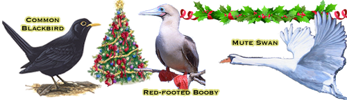 Who's that bird?